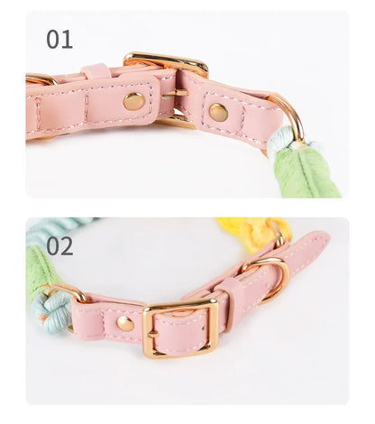 Wholesale Handmade Woven Colorful Pet Dog Leash Set Leather Dog Collar Supplies Cross-Border