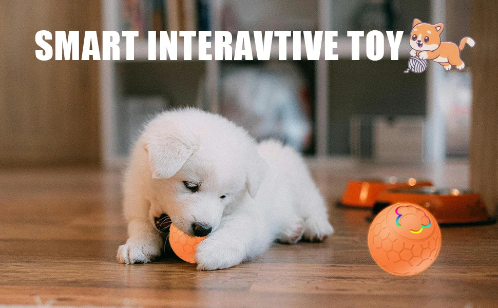 HaloBounce — Interactive Dog Ball