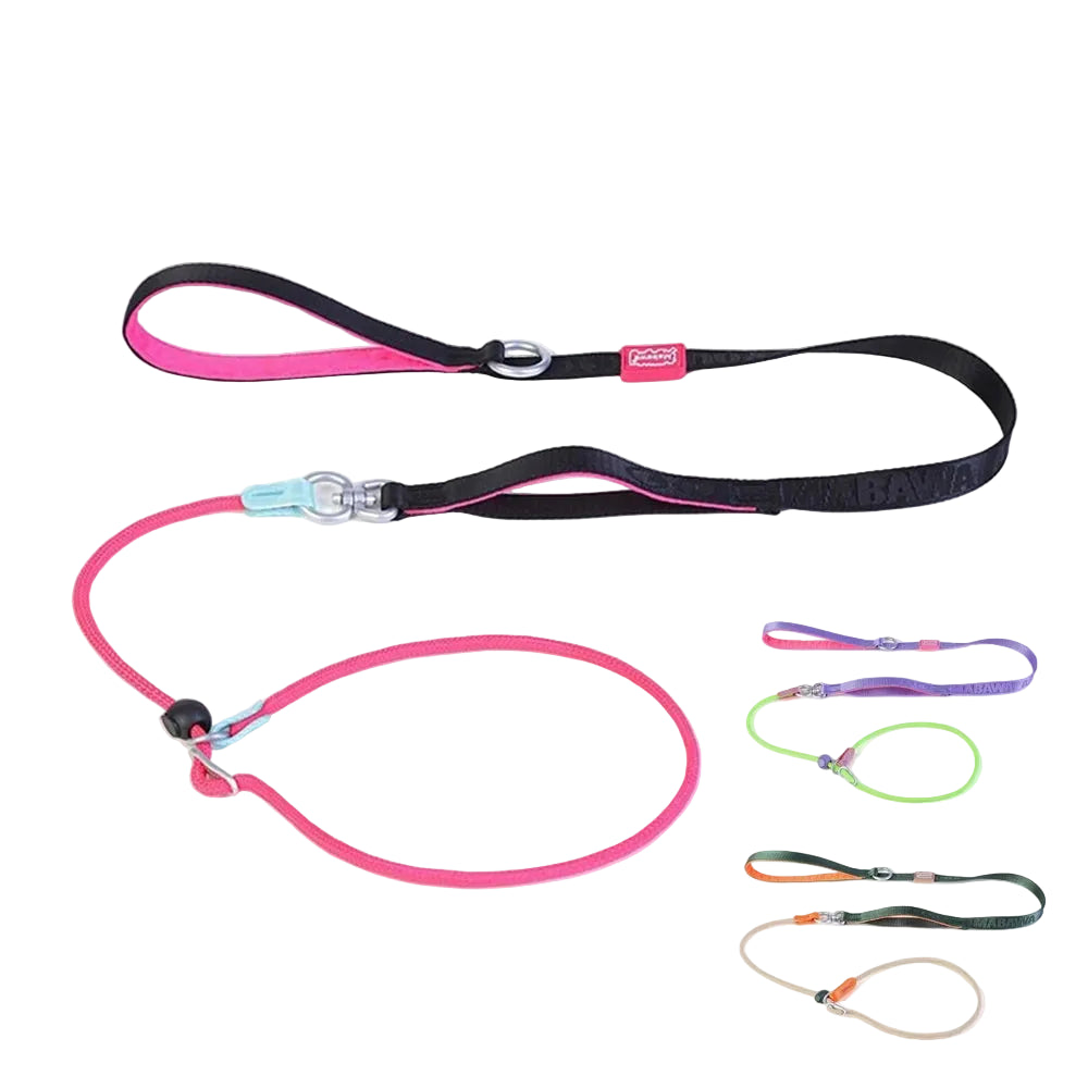 Pawloop Rope Slip Lead Dog Leash
