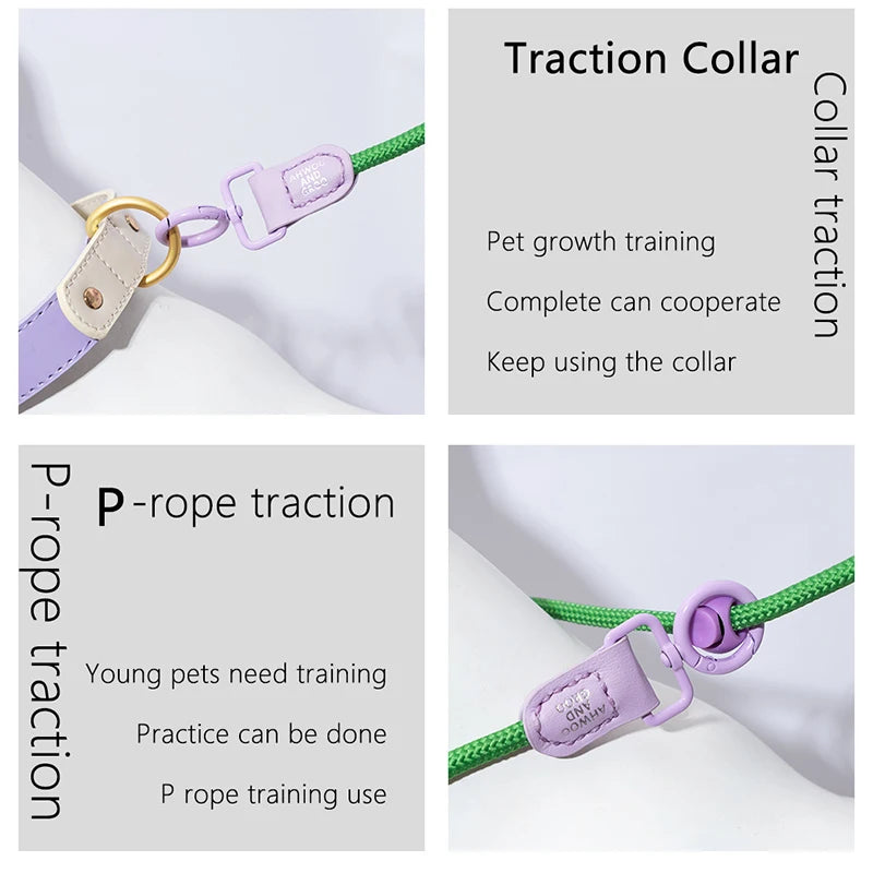 Switch & Stroll 2-in-1 Rope Dog Leash