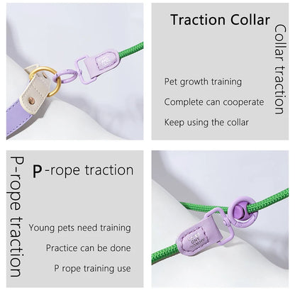 Switch & Stroll 2-in-1 Rope Dog Leash