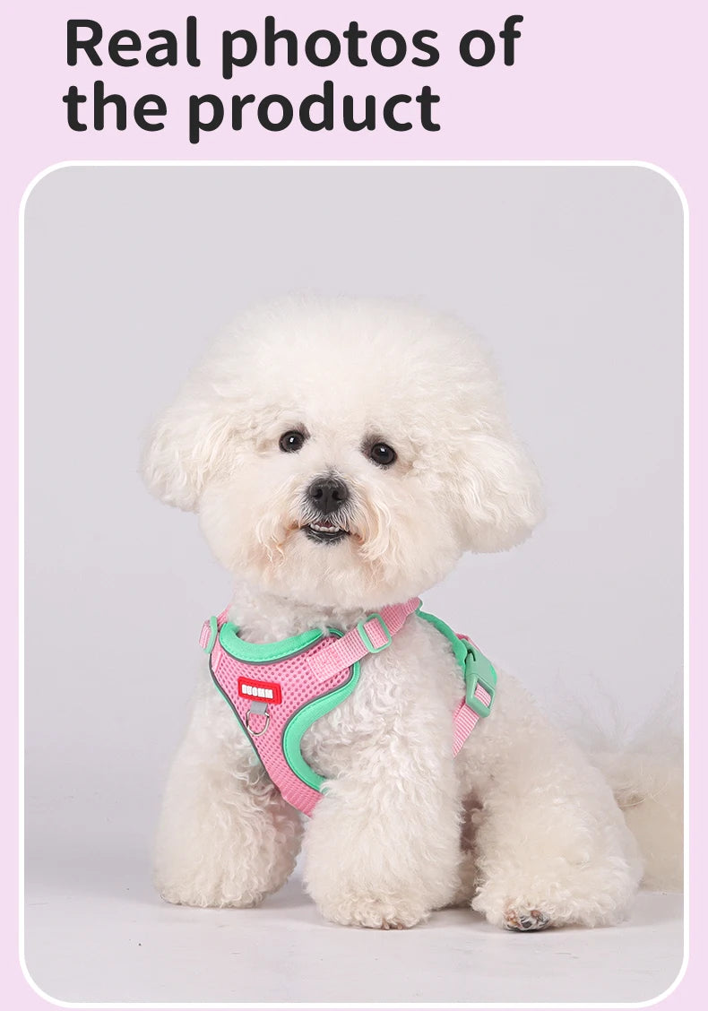 Purrfect Escape – Reflective Mesh Pet Harness & Leash Set