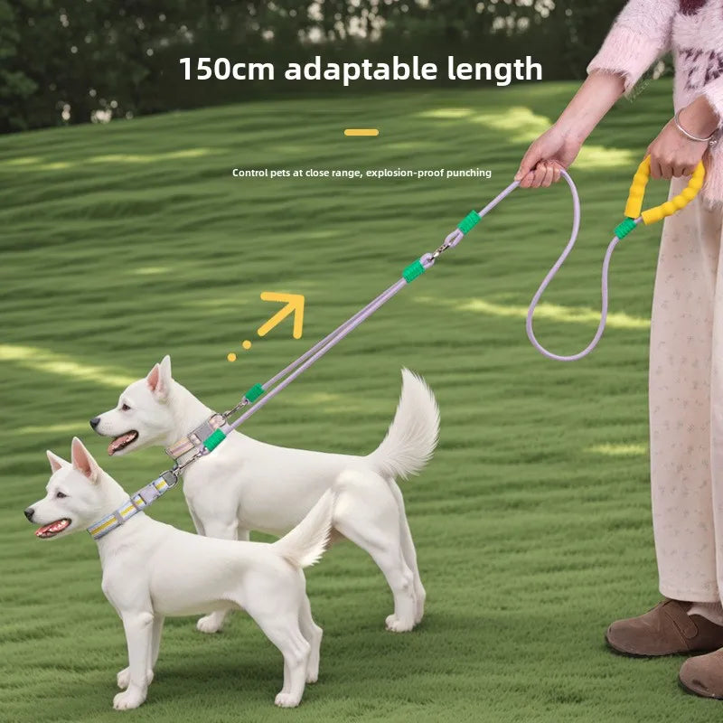 Double Trouble! 2-in-1 Dog Walking Leash