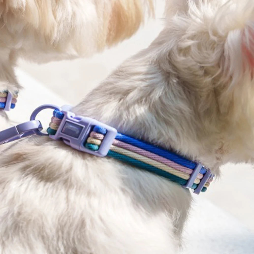 Taffy Twist Woven Dog Collar