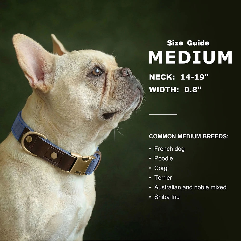 Customized Dog Collar Durable PU Leather Dog Collars Engraved Pet ID Necklace With Metal Buckle for Small Medium Large Dogs Pug