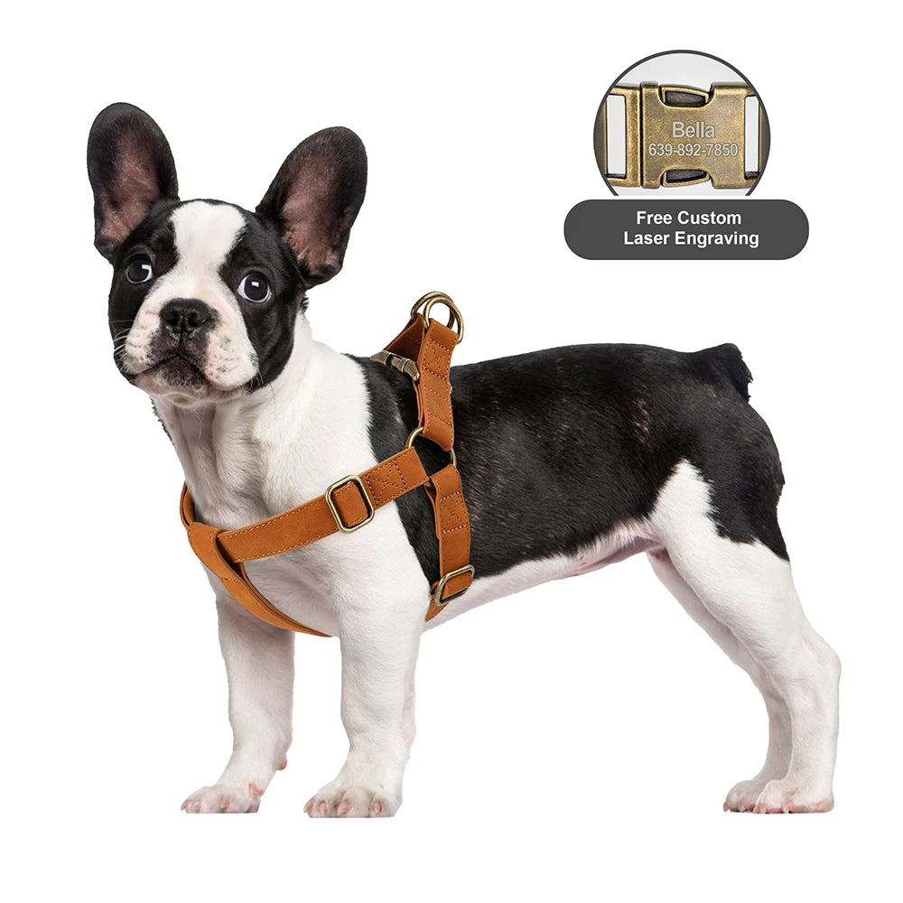 Personalized Dog Harness and Leash Set PU Leather Dogs Harness Free Engraved ID Buckle for Small Medium Large Dogs Pitbull Pug