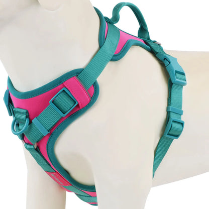 Pawzzle Pop – Colorblock Adjustable Dog Harness