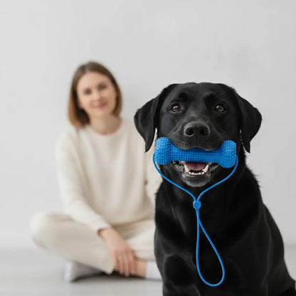 10/15cm Dual-Action Canine Dental Mouth Prop Pet Dental Chew Toy Auxiliary Tool For Easy Dog Teeth Brushing ﻿