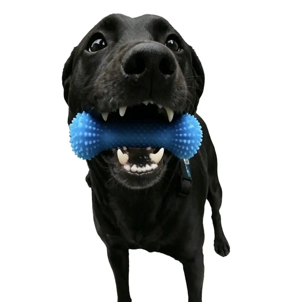 10/15cm Dual-Action Canine Dental Mouth Prop Pet Dental Chew Toy Auxiliary Tool For Easy Dog Teeth Brushing ﻿