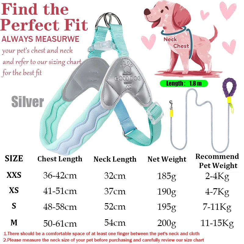 Waggle Galaxy – Colorblock Dog Harness & Leash Set