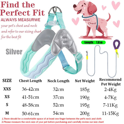 Waggle Galaxy – Colorblock Dog Harness & Leash Set